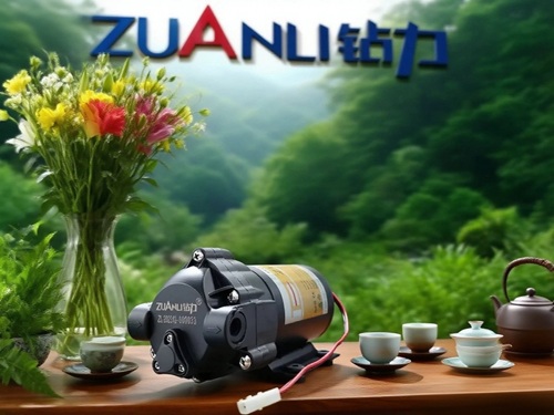Cao điểm sản xuất trước Tết Trung thu: Chúng tôi làm việc ngoài giờ để cung cấp máy bơm tăng áp RO chất lượng cao cho các đơn hàng xuất khẩu toàn cầu